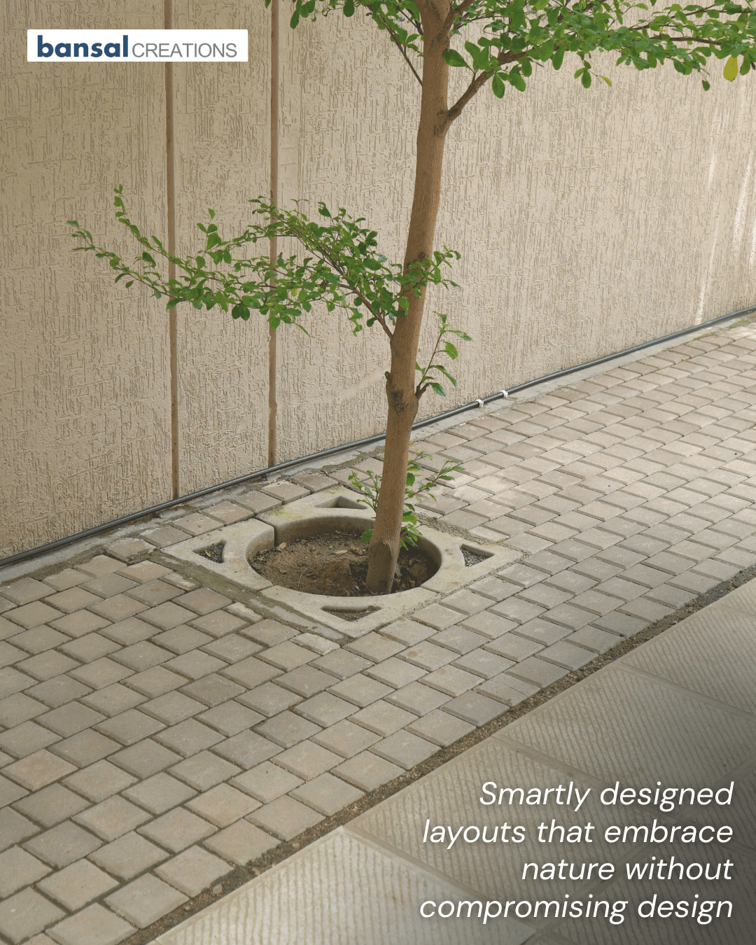 Garden Walkway & Tree Surrounds